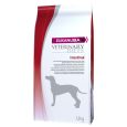 Eukanuba VETERINARY DIETS Adult Intestinal3