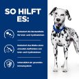 Hill's Prescription Diet u-d Urinary Care7