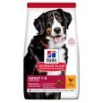 Hill's Science Plan Adult 1-5 Large with Chicken