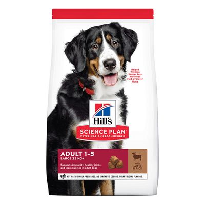 Hill's Science Plan Adult 1-5 Large with Lamb & Rice