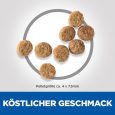 Hill's Science Plan Adult 1-6 Light Small & Mini with Chicken3