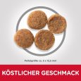 Hill's Science Plan Adult 1-6 Medium with Chicken1