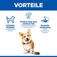 Hill's Science Plan Adult 1-6 Small & Mini with Chicken3