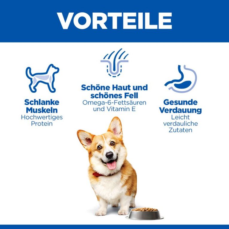 Hill's Science Plan Adult 1-6 Small & Mini with Chicken3