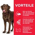 Hill's Science Plan Adult 1+ Healthy Mobility Large Breed with Chicken2