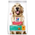 Hill's Science Plan Adult 1+ Perfect Weight Large with Chicken