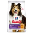 Hill's Science Plan Adult 1 + Sensitive Stomach & Skin Medium with Chicken