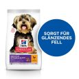 Hill's Science Plan Adult 1+ Sensitive Stomach & Skin Small & Mini with Chicken1