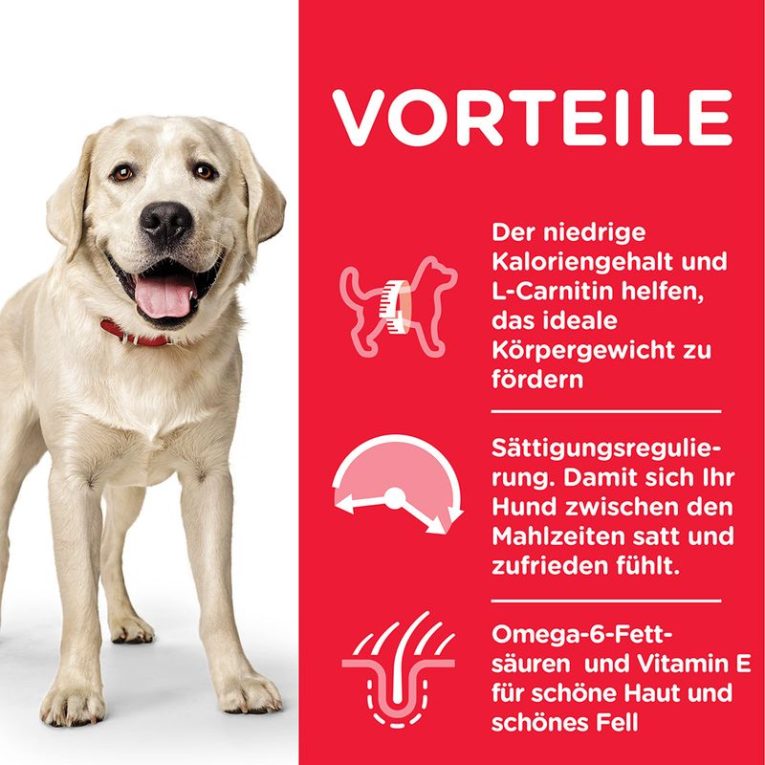 Hill's Science Plan Adult Light Large Breed with Chicken2