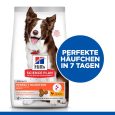 Hill's Science Plan Adult Perfect Digestion Medium Breed1