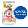 Hill's Science Plan Large Puppy Perfect Digestion1