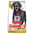 Hill's Science Plan Perfect Digestion Adult Large Breed