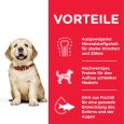 Hill's Science Plan Puppy -1 Large with chicken2
