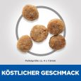 Hill's Science Plan Senior 11+ Small & Mini with Chicken2